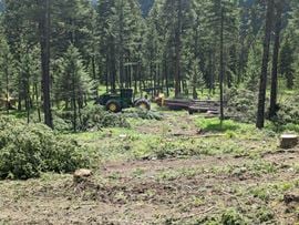 450.82 +/- AC Lone Lake Timberland - Flathead County, MT
