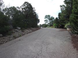 Beaver Ln