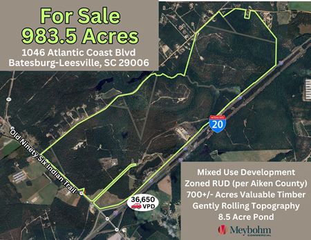 Photo of commercial space at 1046 Atlantic Coast Boulevard in Batesburg-Leesville