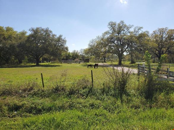 2831 Saddle Creek Road