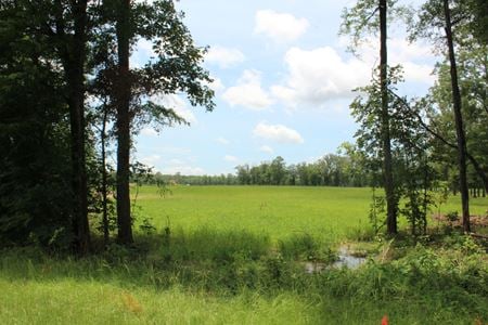 VacantLand space for Sale at Airport Road in Flowood