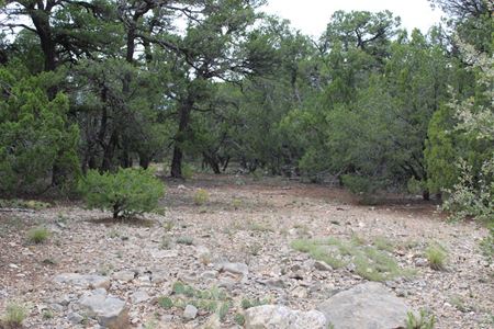 VacantLand space for Sale at 3 Manzano Loop in Tijeras