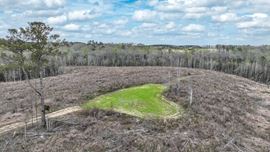Brown Tract