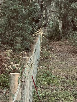 Executive Homesite - 4.19 Acres, Florida