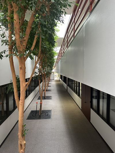 The Ellington Building