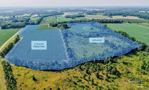 ±46.96-Acre Recreational & Residential Tract | Monetta, SC