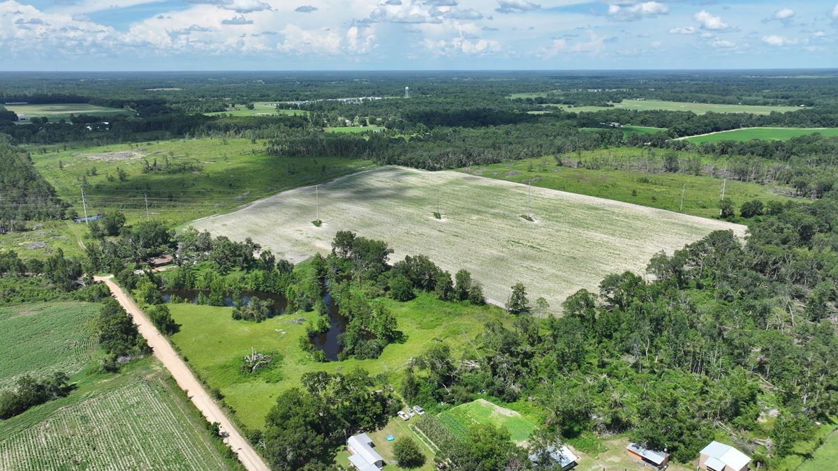 Graceville Longview Farm