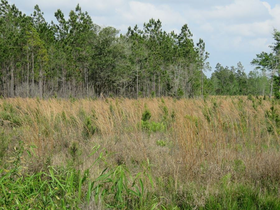 McGee Branch West Tract