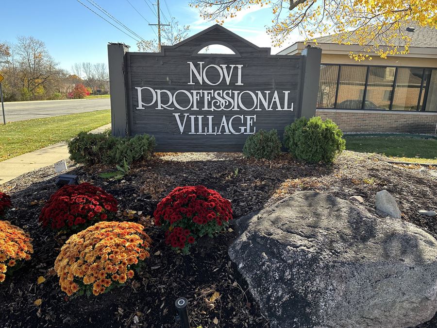 Novi Professional Village