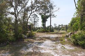 Spring Warrior Cove