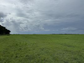 Sweetwater Farm