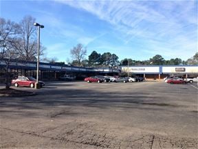 Mt. Pleasant Village Shopping Center