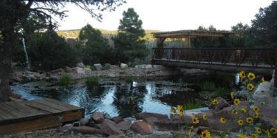 1 Mustang Mesa Trail