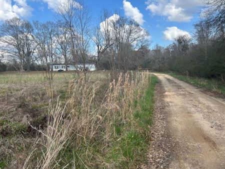 Unassigned space for Sale at 0 US HWY 331 in LUVERNE