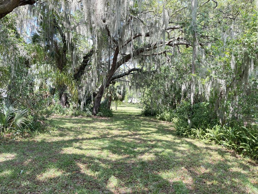 Stunning Wooded Lot with Old Florida Charm