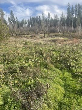 6.67 Acre Grass Valley Lot