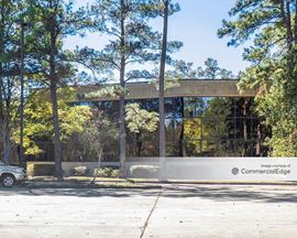 III Kingwood Place