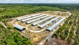 Timber Ridge Farm - Poultry and Homeplace Package