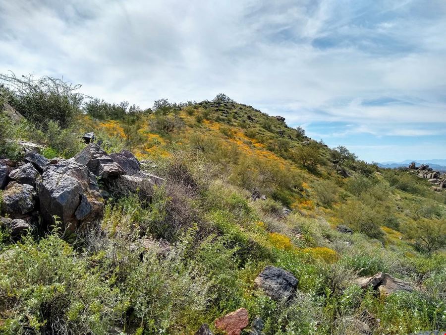 Buildable Hillside Lot Scottsdale