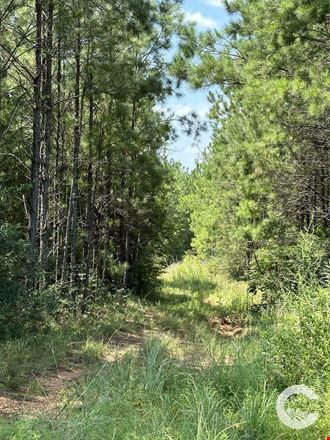 226 +/- Acre Investment Opportunity in Brewton, AL