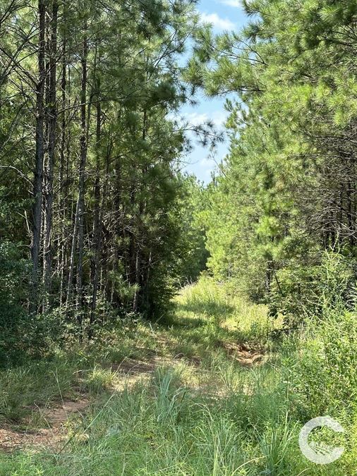 226 +/- Acre Investment Opportunity in Brewton, AL