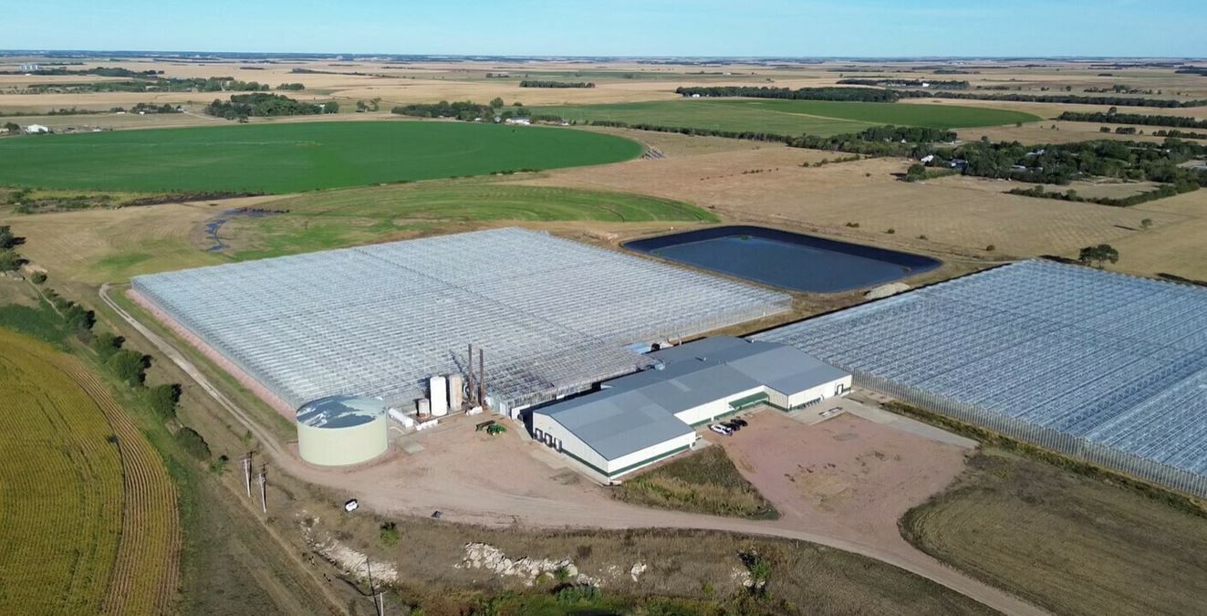 Large-Scale Industrial Greenhouse Operation