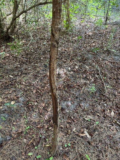 Columbia County Hunting and Recreation