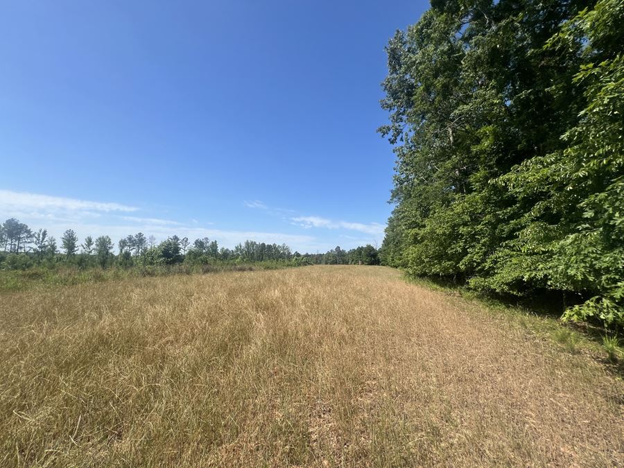 841.49 Acres - Buffalo Creek Timber Farm