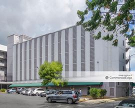 Kaheka Professional Center