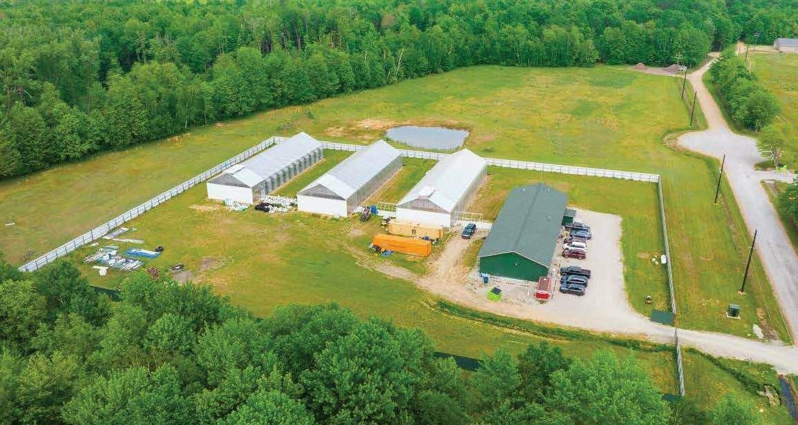 Vassar - Operating Hybrid Green House Facility/Excess Land