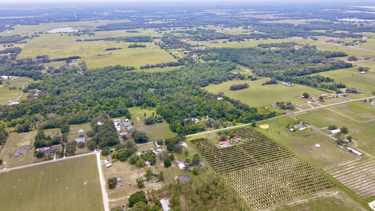 Curley Road Ranch