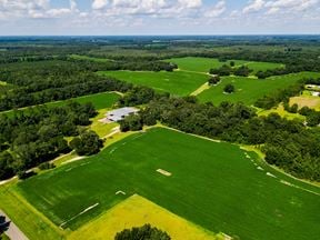 Marianna Farm and Hunting