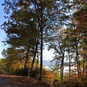 True Love Mountain Rd