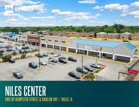 Retail space for Rent at 7233 West Dempster Street in Niles