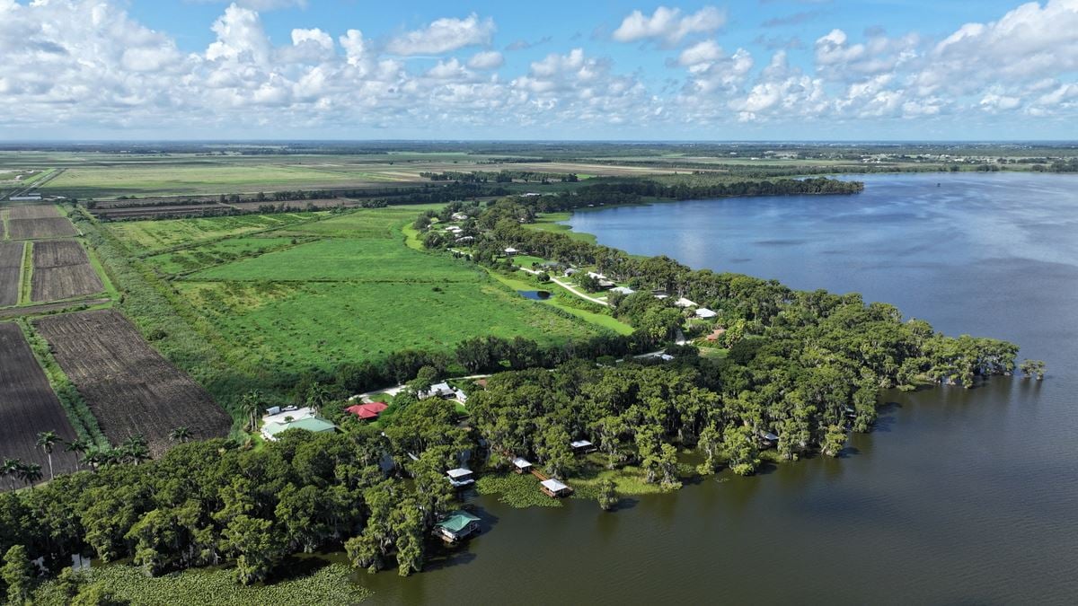 Lake Istokpoga Farmland