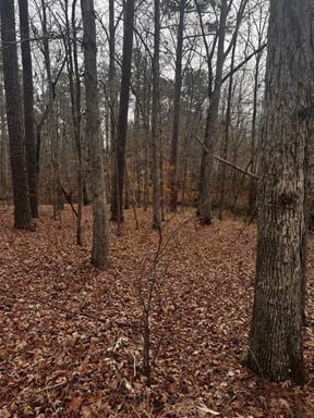 Lakewood Trace - 3.18 Acre Lot