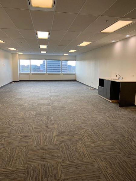 1907     Galerie de photos de l'espace 1