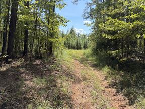Beatrice 20 AC Tract