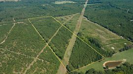 ±34 Acres | Salley, SC