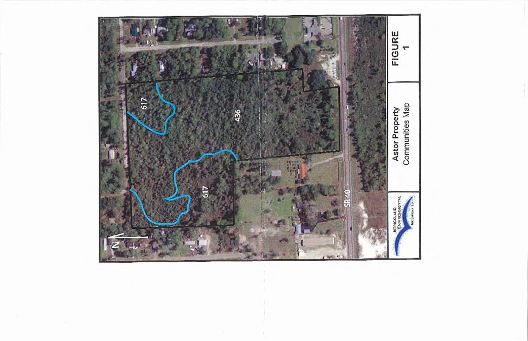 +/- 17 Acres - Astor, Florida - 52 Home Sites