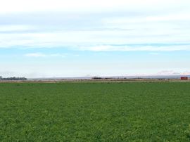 400 Acre Pump Farm in Tacna, Avenue 41 E and County 7 St S