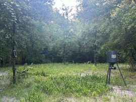 Fort White 58.7 Acres