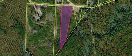 VacantLand space for Sale at Wilkins Road Lat/Long: 34.61202, -79.99149 in Patrick