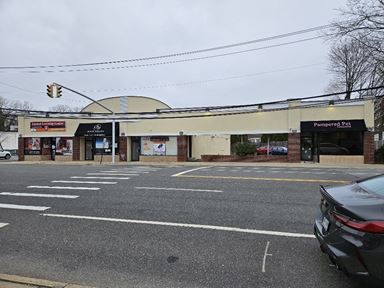 Prime Roslyn/Albertson NY Center w/ Private Parking