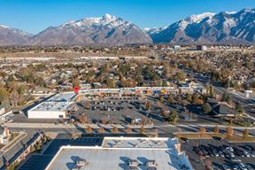 Aspen Plaza Furnished Office Condo