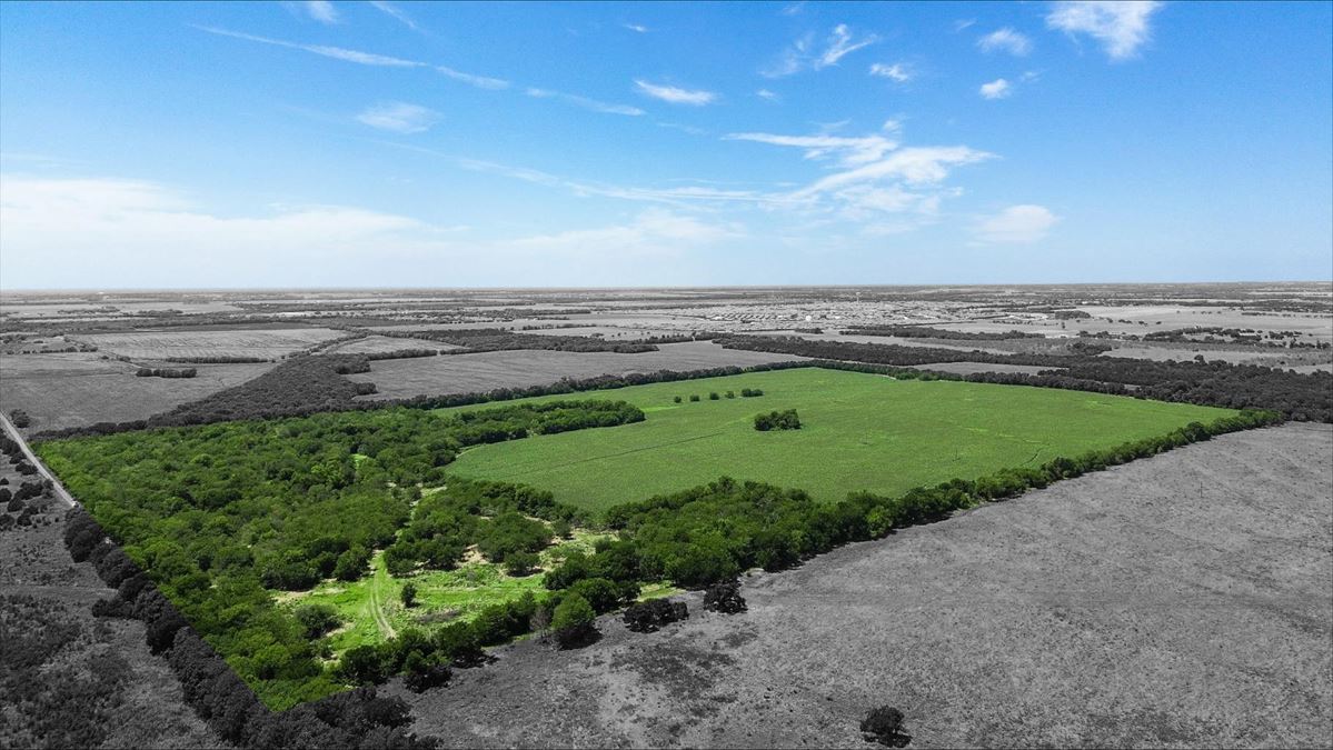 110 Acres for Sale in Royse City
