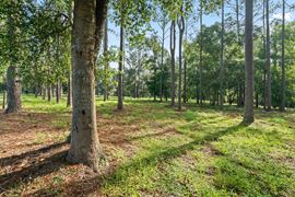Brooksville 5 Acre Tract