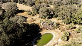 Citrus County Ranch and Recreational Tract