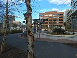 Single Offices - 1110 Bonifant St