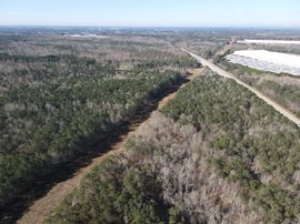 Posey Road - 70.4 Acres